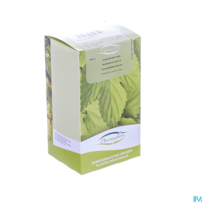 Vuilboom Bast (250g)